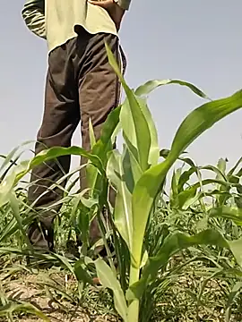 ThethunderPo online show from March 2, 2026, 7:37 am