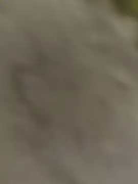 Snapshot of ThethunderPo chatting on October 31, 2025, 3:25 am ThethunderPo online show from October 31, 2025, 3:25 am