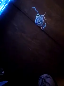 UncutHammer69 online show from April 9, 2026, 3:07 pm