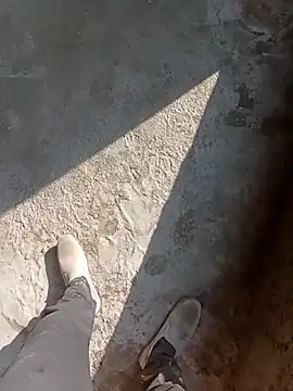 Bengali BULL1 online show from November 15, 2025, 8:40 am