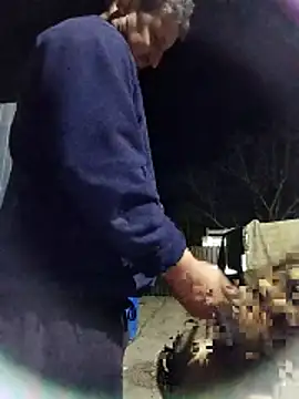 sarpe4 online show from October 31, 2025, 5:09 pm