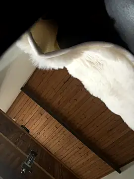 Snapshot of odbodu chatting on November 22, 2025, 8:51 pm odbodu online show from November 22, 2025, 8:51 pm