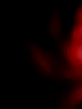 salonidesimaal online show from December 22, 2024, 9:33 am