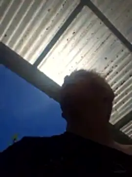 Snapshot of PinkTheHawk chatting on December 14, 2025, 10:37 pm PinkTheHawk online show from December 14, 2025, 10:37 pm