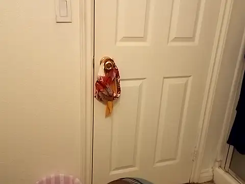 Tramontas online show from October 1, 2025, 8:41 am