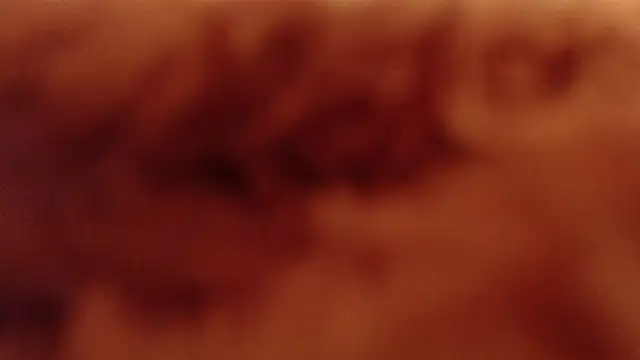 larawet online show from January 4, 2025, 11:17 pm