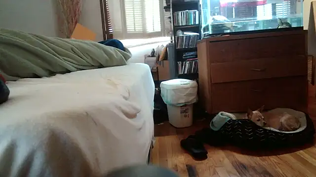 Snapshot of jumpingtomflash chatting on April 16, 2026, 2:01 am jumpingtomflash online show from April 16, 2026, 2:01 am