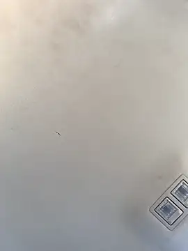 Snapshot of Tristris100 chatting on December 23, 2024, 8:14 pm Tristris100 online show from December 23, 2024, 8:14 pm