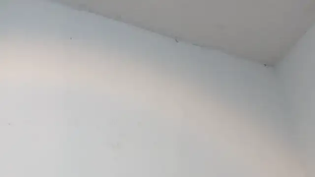 Snapshot of dalilasquirt1 chatting on February 11, 2026, 7:47 pm dalilasquirt1 online show from February 11, 2026, 7:47 pm