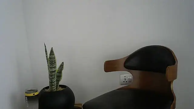 missytrig online show from February 22, 2026, 4:26 am