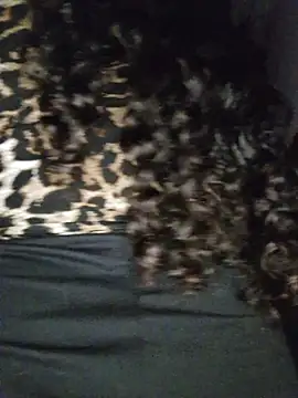 Snapshot of blerstefan1 chatting on November 3, 2025, 4:28 am blerstefan1 online show from November 3, 2025, 4:28 am