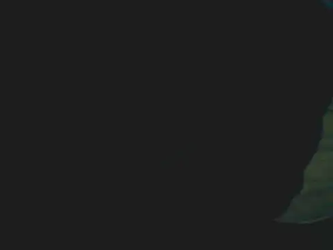 Snapshot of Latinjim29 chatting on December 15, 2025, 11:42 pm Latinjim29 online show from December 15, 2025, 11:42 pm