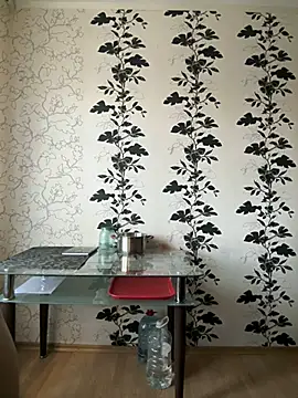 Snapshot of LORA_x chatting on March 7, 2025, 2:34 pm LORA x online show from March 7, 2025, 2:34 pm