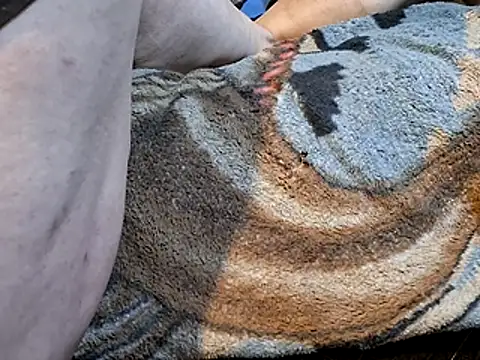 bobbybullit online show from November 20, 2025, 6:58 am