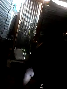 Zues4u online show from January 1, 2025, 5:43 am