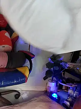 XXX harna online show from February 8, 2026, 6:11 am