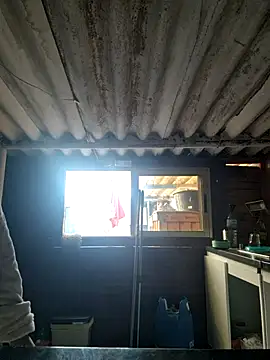 Snapshot of mila38 chatting on November 18, 2025, 9:56 am mila38 online show from November 18, 2025, 9:56 am