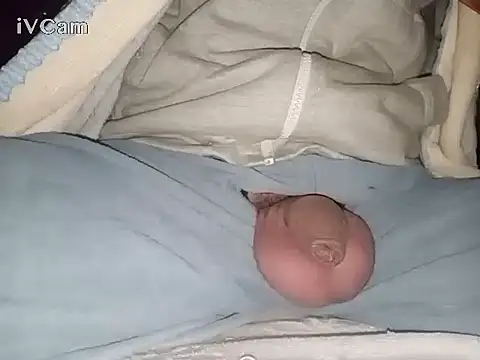 Snapshot of Bigdick666cm chatting on January 28, 2025, 3:04 am Bigdick666cm online show from January 28, 2025, 3:04 am