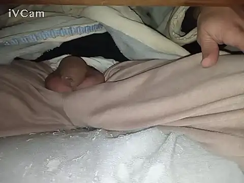 Snapshot of Bigdick666cm chatting on February 6, 2025, 2:44 am Bigdick666cm online show from February 6, 2025, 2:44 am