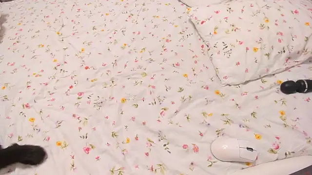 Snapshot of Eziliz chatting on September 12, 2025, 6:18 pm Eziliz online show from September 12, 2025, 6:18 pm