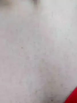 mister-dwt online show from December 19, 2024, 12:45 pm