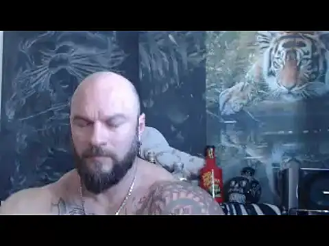 viking 30 online show from April 26, 2026, 6:32 am