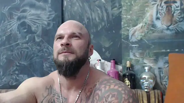 viking 30 online show from November 4, 2025, 8:12 pm