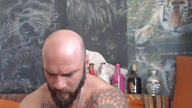 viking 30 online show from October 31, 2025, 8:11 am