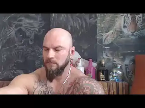 viking 30 online show from December 16, 2025, 11:03 am