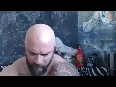 viking 30 online show from April 28, 2026, 6:29 am