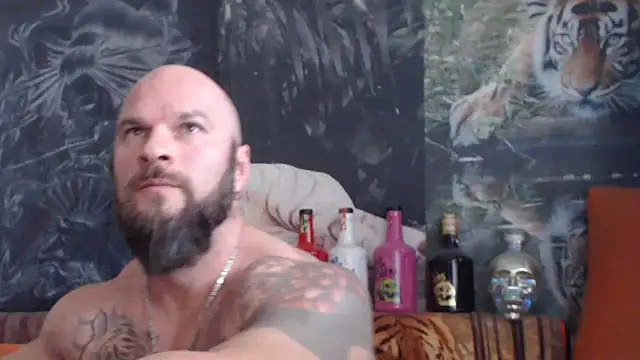 viking 30 online show from November 4, 2025, 8:07 am