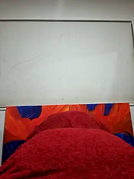 Snapshot of PhoenixDesire@xh chatting on March 22, 2025, 1:08 pm PhoenixDesirexh online show from March 22, 2025, 1:08 pm