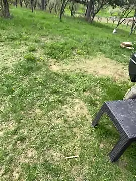 Alimela online show from April 13, 2026, 11:58 am