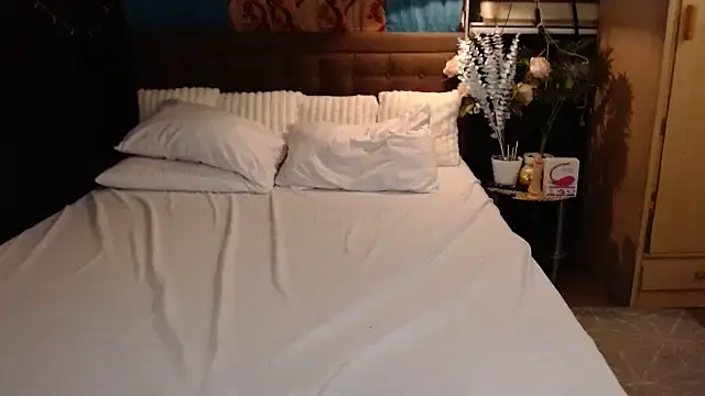 Snapshot of xheavenlytrans chatting on November 9, 2025, 1:48 pm xheavenlytrans online show from November 9, 2025, 1:48 pm