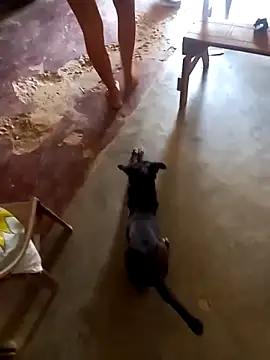 Snapshot of sexicaribe2 chatting on October 16, 2025, 6:16 pm sexicaribe2 online show from October 16, 2025, 6:16 pm