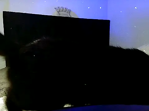 Luxlatingirlz oficial online show from March 15, 2025, 5:08 am