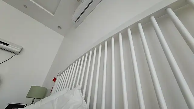 Snapshot of theSecretBallerino chatting on November 14, 2025, 5:22 am theSecretBallerino online show from November 14, 2025, 5:22 am