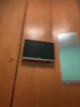 camelia3 online show from March 10, 2026, 7:18 pm