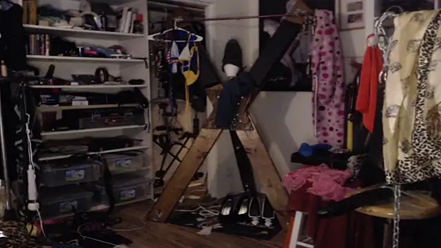 Transjoni online show from March 13, 2026, 2:11 pm