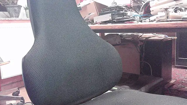 Snapshot of HaraldGermany chatting on October 13, 2025, 5:25 pm HaraldGermany online show from October 13, 2025, 5:25 pm