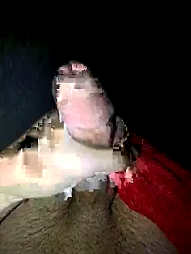 Snapshot of guilherme205 chatting on September 18, 2025, 9:45 am guilherme205 online show from September 18, 2025, 9:45 am