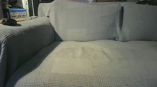 Snapshot of naked_bear chatting on December 19, 2024, 7:29 pm naked bear online show from December 19, 2024, 7:29 pm