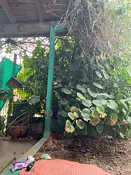 Snapshot of sofy_alone chatting on February 2, 2026, 11:53 am sofy alone online show from February 2, 2026, 11:53 am