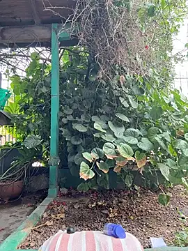 Snapshot of sofy_alone chatting on February 5, 2026, 11:28 am sofy alone online show from February 5, 2026, 11:28 am