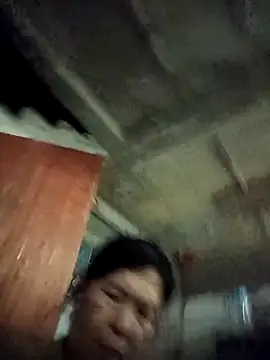 TropicalFlower online show from November 2, 2025, 10:53 am