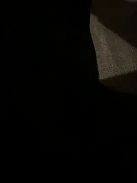 Snapshot of stevesaa chatting on December 15, 2025, 6:14 pm stevesaa online show from December 15, 2025, 6:14 pm