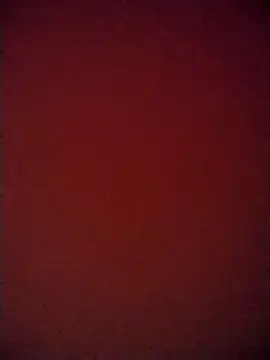 Snapshot of martuk chatting on February 11, 2025, 3:18 am martuk online show from February 11, 2025, 3:18 am