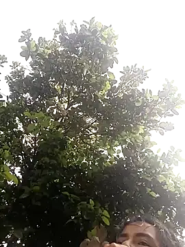 Curiosos369  online show from March 4, 2025, 9:32 pm
