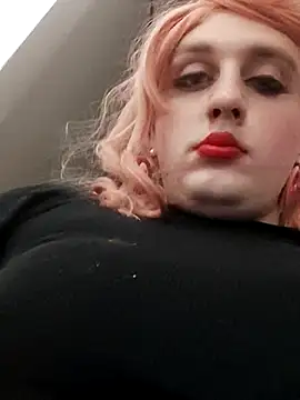 TransNikol97 online show from May 2, 2026, 12:49 am