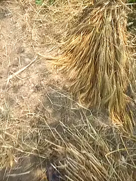 FinableKnee online show from April 8, 2026, 5:31 am